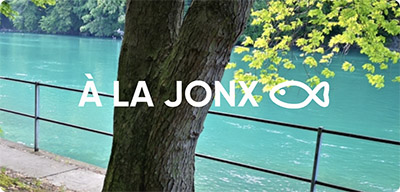 , About us, La Jonx