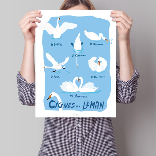Cygnes du Léman – Image 2