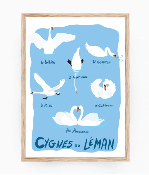 Affiche Cygnes du Léman