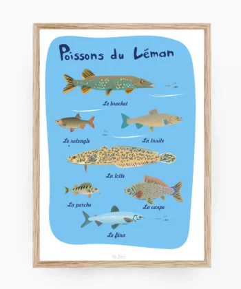 Affiche Poissons du Léman – poster suisse, décoration murale, cadeau suisse