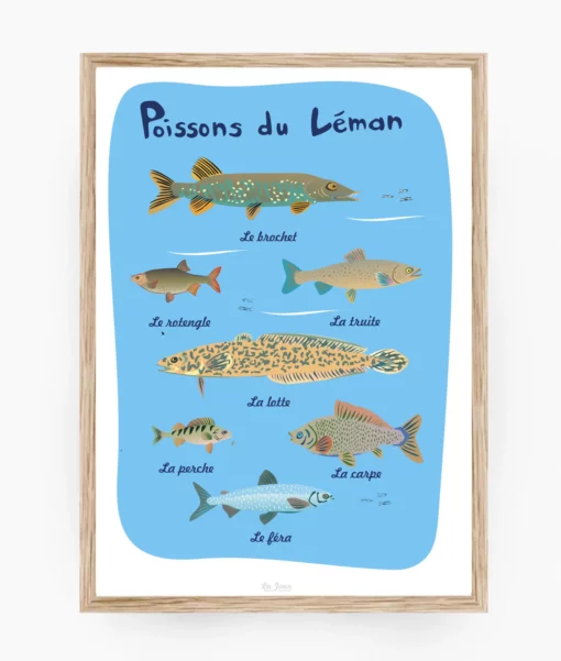 Affiche Poissons du Léman – poster suisse, décoration murale, cadeau suisse