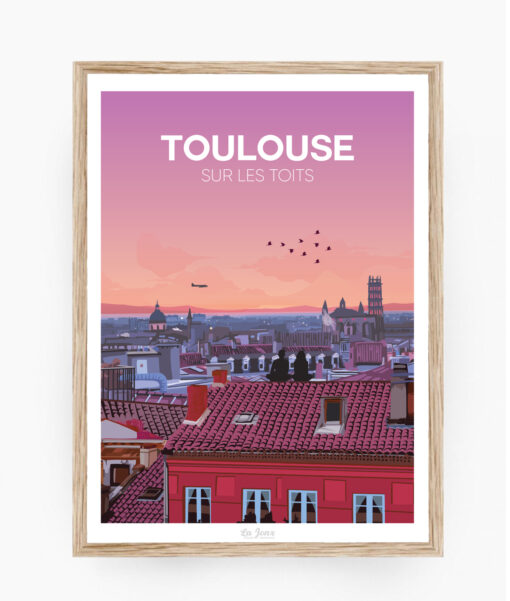 Toulouse sur les toits