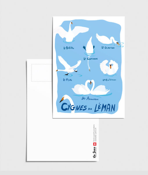 Postcard - Lake Geneva swans