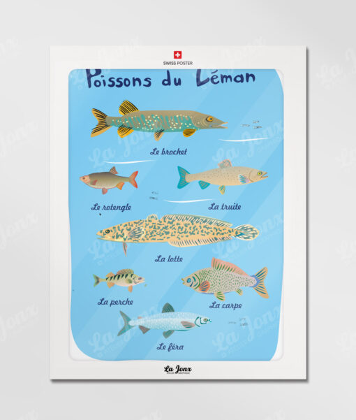 Poissons du Léman – Image 3