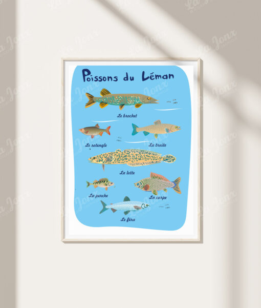 Poissons du Léman – Image 4