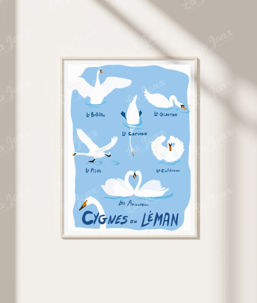 Cygnes du Léman – Image 3
