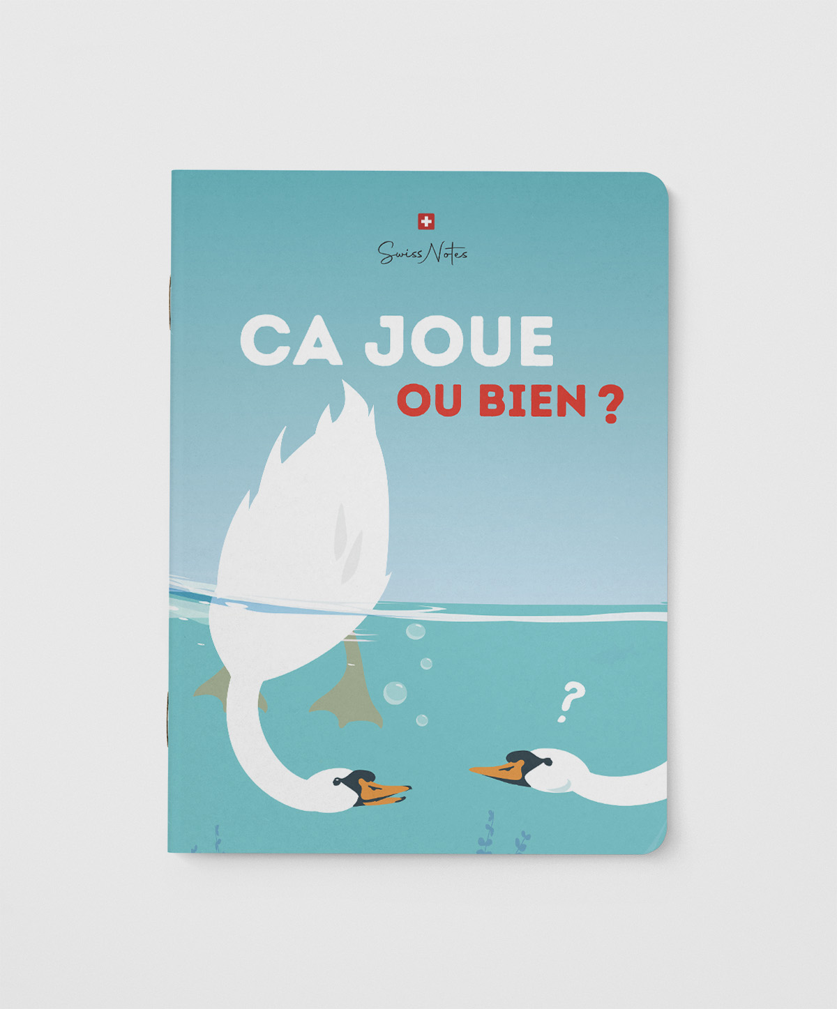 Carnet Ca joue ou bien?
