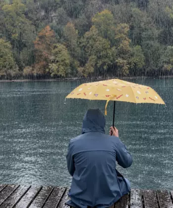 Parapluie - Swiss Icons – Image 3